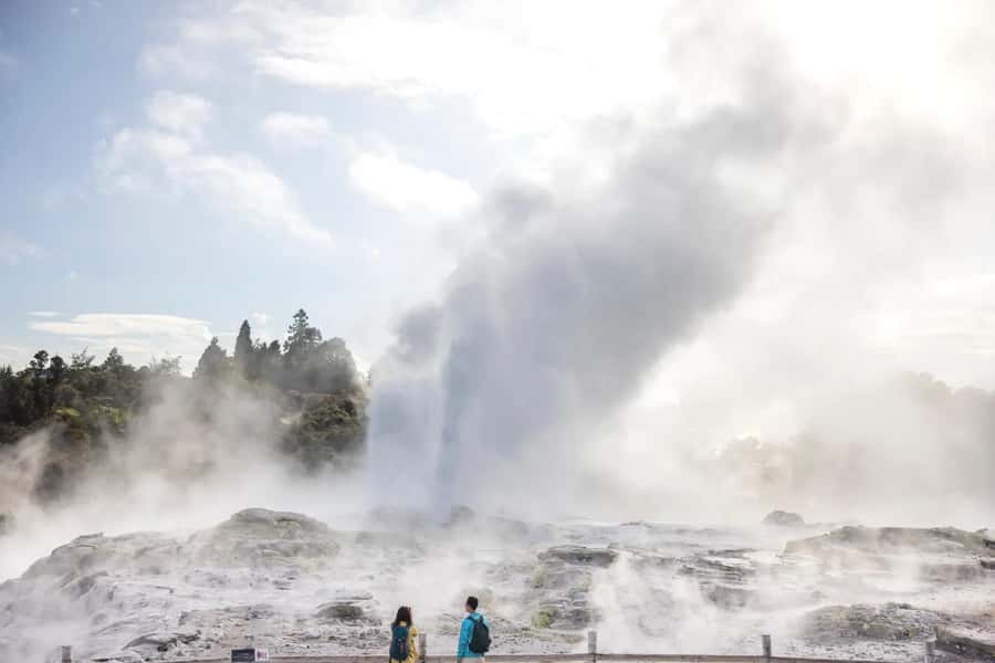 Ex Auckland: TE PUIA Geothermal, Redwood & Blue Springs - Tirau gives you a short, useful break