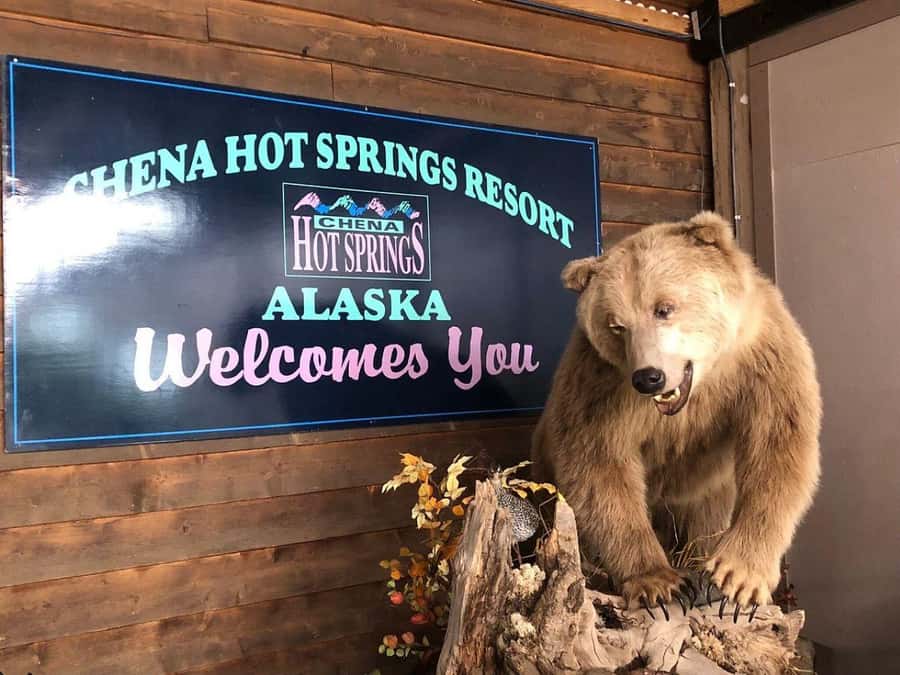 Fairbanks: Northern Lights and Chena Hot Springs Tour - Why This Tour Works as an Alaska Evening