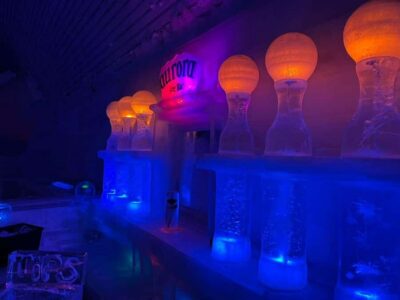 Northern Lights and Chena Hot Springs Tour