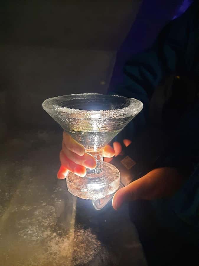 Fairbanks: Northern Lights and Chena Hot Springs Tour - Dinner at Chena Resort