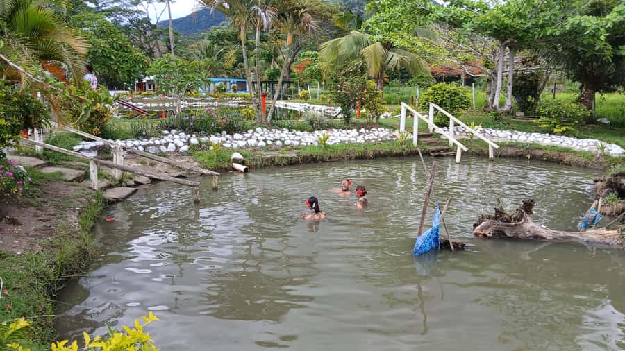 FIJI-NADI: Sabeto Tifajek Hot Spring and Mudpool Tour - Is $18 good value?
