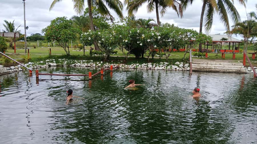 FIJI-NADI: Sabeto Tifajek Hot Spring and Mudpool Tour - Who should book this experience?