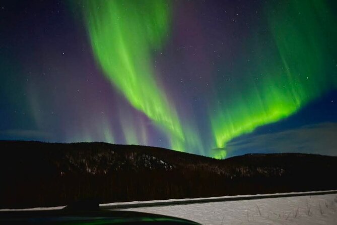 Fire & Ice: Chena Hot Springs, Ice Museum + Aurora Adventure - Four things to know before booking