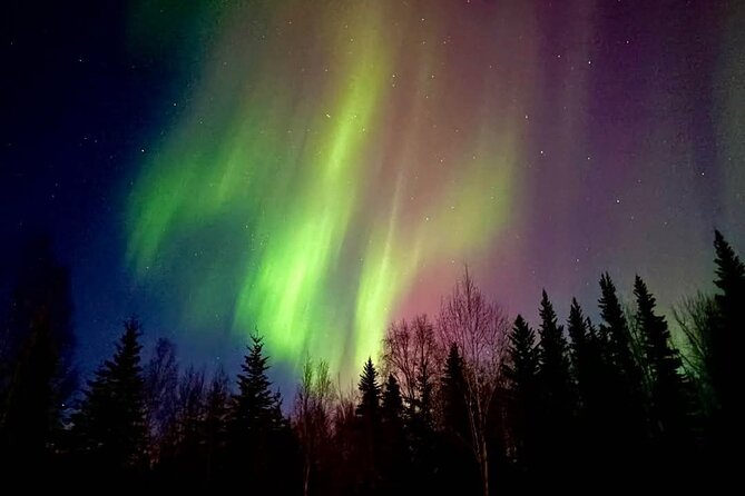 Fire & Ice: Chena Hot Springs, Ice Museum + Aurora Adventure - A Fairbanks night built around contrast