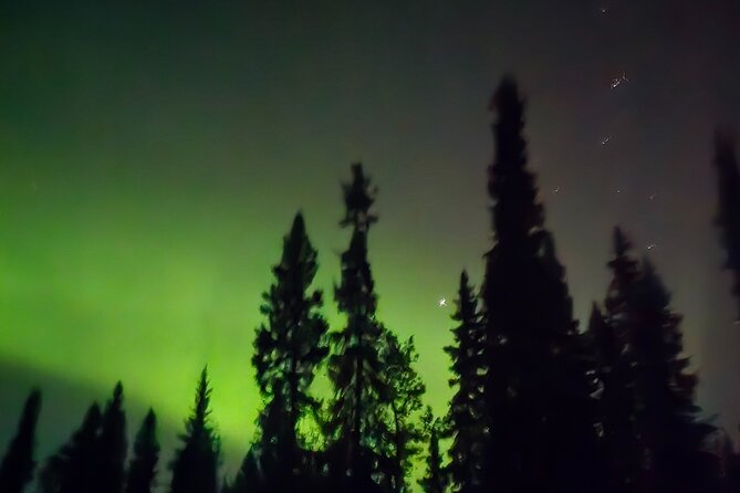 Fire & Ice: Chena Hot Springs, Ice Museum + Aurora Adventure - Why private transportation changes the night