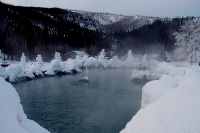Fire & Ice: Chena Hot Springs, Ice Museum + Aurora Adventure - Who should book this experience?