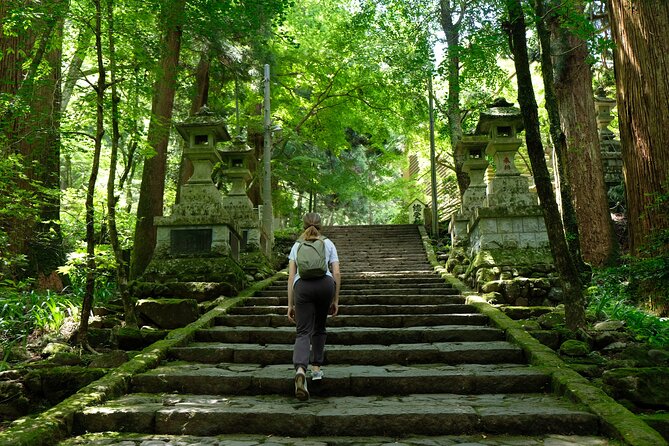 Forest Bathing in Temple and Enjoy onsen with healing power - What the $104.51 price really covers
