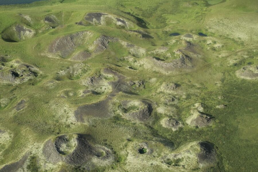 From Akureyri: Myvatn Lake, Craters, & Waterfall Tour - Should you book the Mývatn tour from Akureyri?