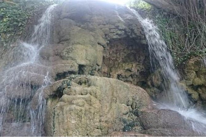 From Amman :Full day Dead Sea and Ma'in Hot spring tour - Who will enjoy this day most?