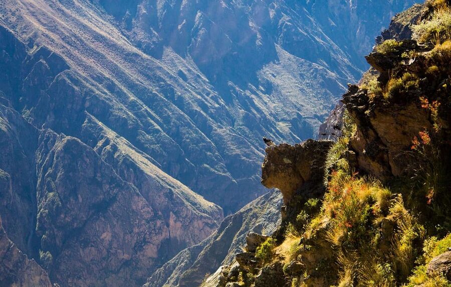 From Arequipa: Colca Valley & Thermal Baths Small-Group Trip - Antahuilque, Wayra Punku, and the changing views