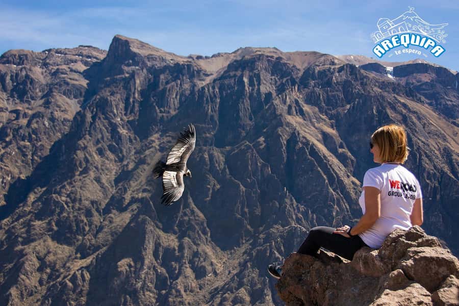 From Arequipa: Colca Valley & Thermal Baths Small-Group Trip - The 3:00 a.m. departure and the road to Chivay
