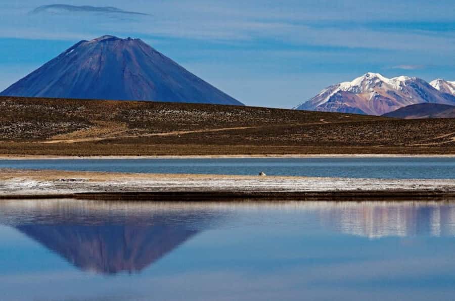 From Arequipa: Salinas Lagoon Full-Day Trip with Hot Springs - Key points to know before you book