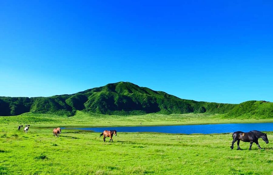 From Fukuoka: Mount Aso, Kurokawa Onsen, and Shrine Tour - Kurokawa Onsen is the day’s gentlest stop