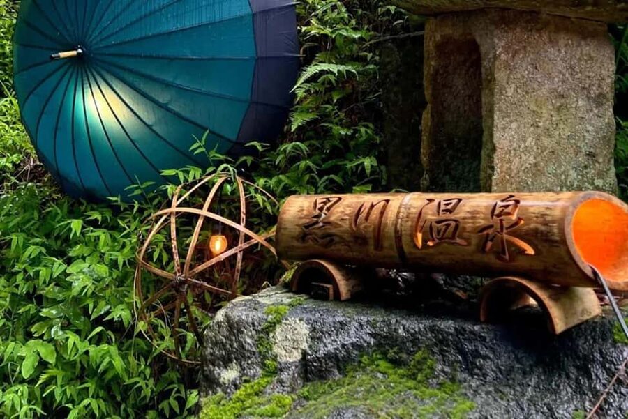 From Fukuoka: Mount Aso, Kurokawa Onsen, and Shrine Tour - Who should book this Kyushu outing?