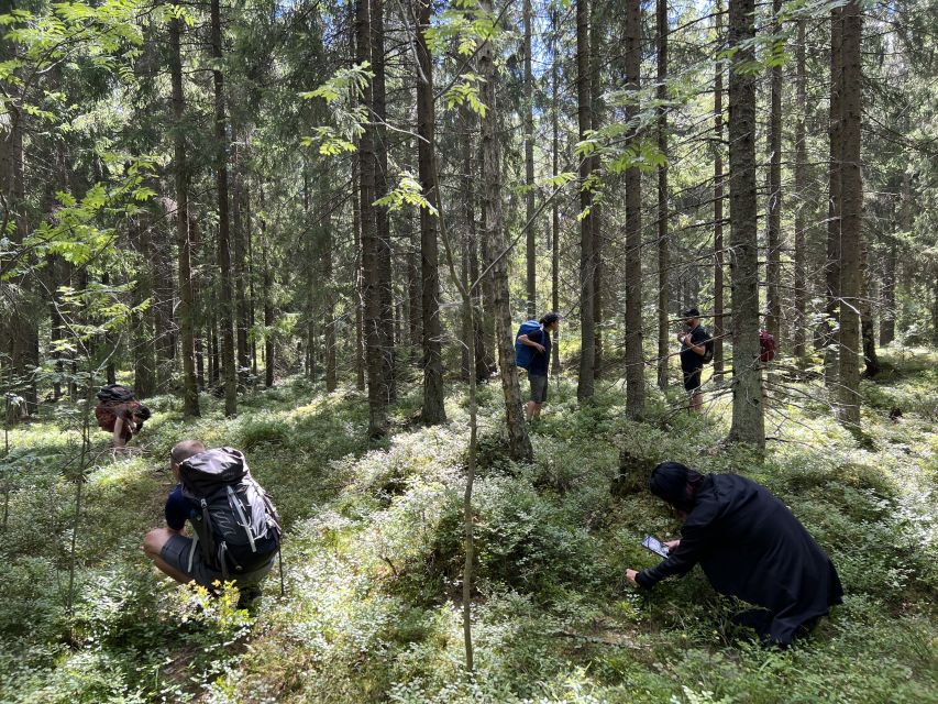 From Helsinki: Hike and Sauna in Sipoonkorpi National Park - From Kiasma to Sipoonkorpi in one easy ride