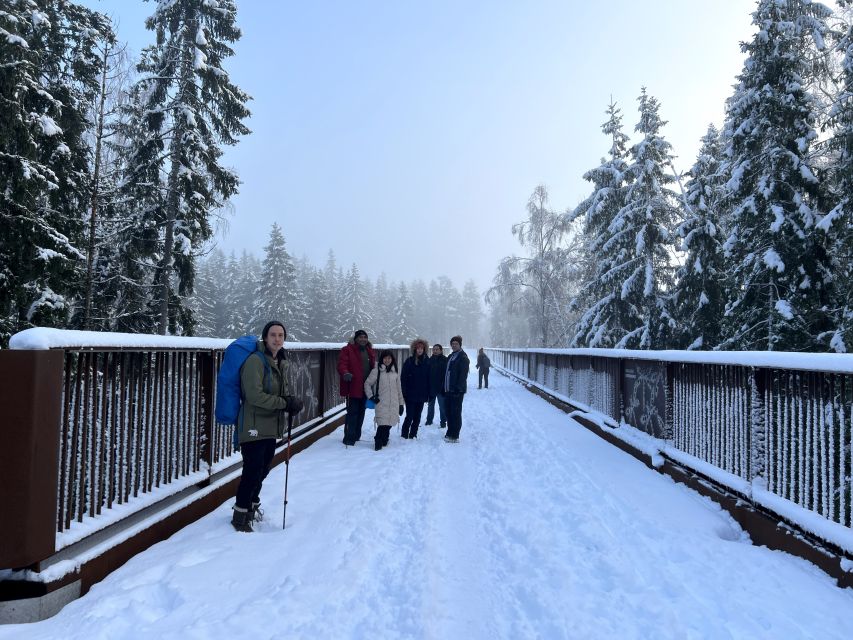 From Helsinki: Hike and Sauna in Sipoonkorpi National Park - The traditional smoke sauna at Kuusijärvi Lake