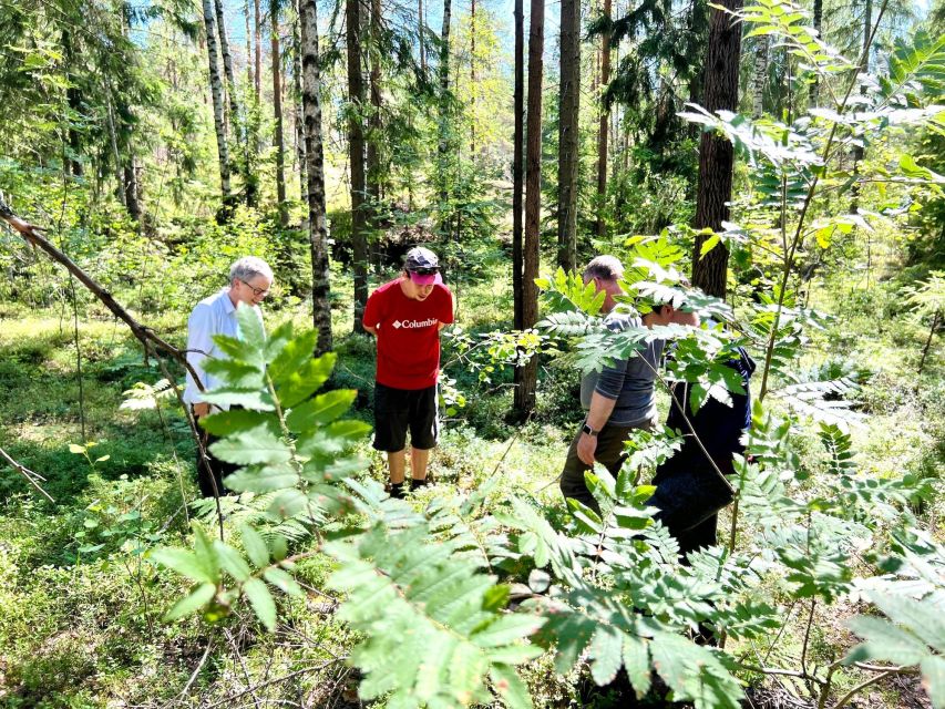 From Helsinki: Hike and Sauna in Sipoonkorpi National Park - Walking the taiga forest in Sipoonkorpi