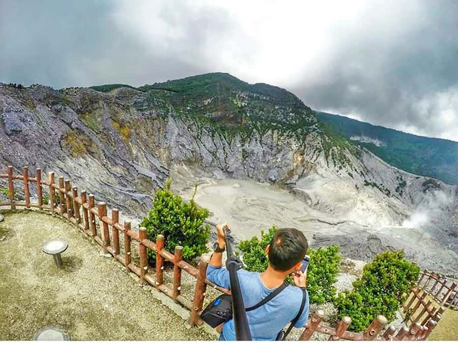 From Jakarta : Volcano, Tea & Rice Fields, Hot Spring - Rice fields and everyday farm life
