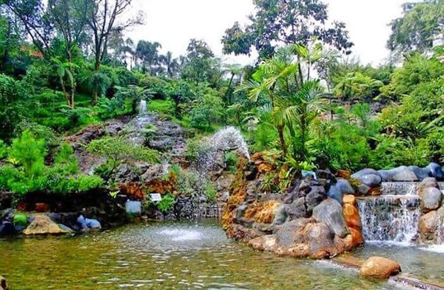 From Jakarta : Volcano, Tea & Rice Fields, Hot Spring - Tangkuban Parahu and its sulfur crater