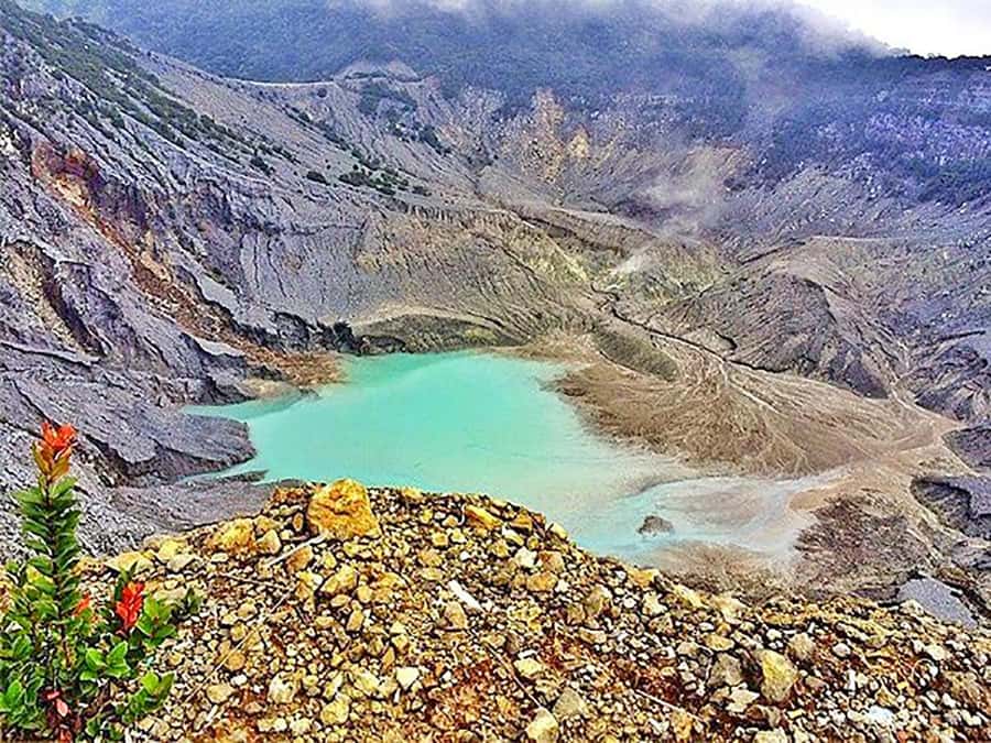 From Jakarta : Volcano, Tea & Rice Fields, Hot Spring - Luwak coffee at Cikole