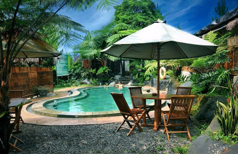 From Jakarta : Volcano, Tea & Rice Fields, Hot Spring - Tea plantations in the volcano country