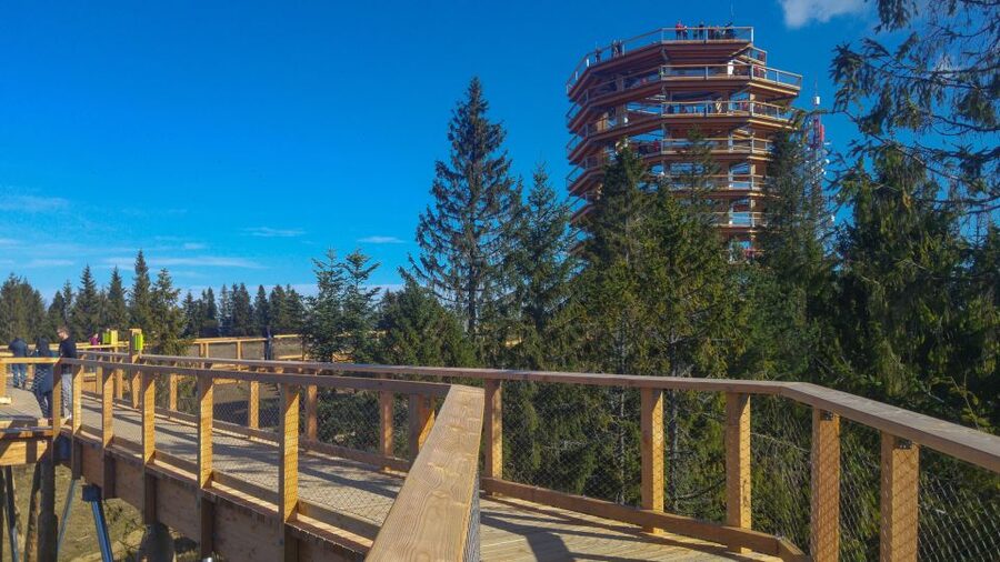 From Krakow: Slovakia Treetop Walk, Zakopane & Thermal Spa - Key points to know before booking