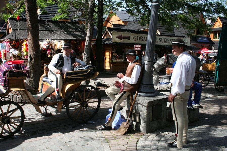 From Krakow: Slovakia Treetop Walk, Zakopane & Thermal Spa - Should you book this day trip?