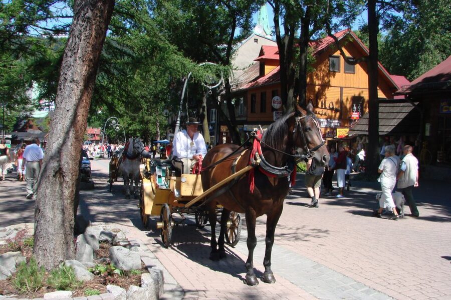 From Krakow: Slovakia Treetop Walk, Zakopane & Thermal Spa - What this Krakow mountain day actually covers