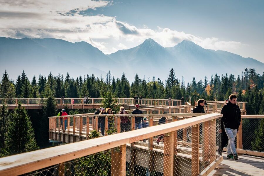 From Krakow: Slovakia Treetop Walk, Zakopane & Thermal Spa - Walking above the forest at Bachledka