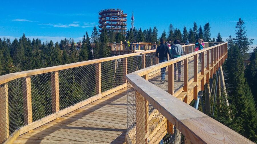 From Krakow: Slovakia Treetop Walk, Zakopane & Thermal Spa - Zakopane in a two-hour window