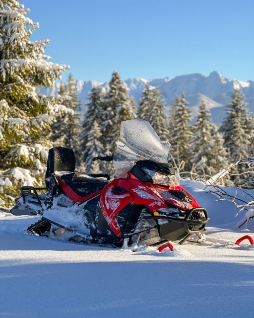 From Krakow: Snowmobile adventure and Thermal Baths tour - Is the $195 price good value?