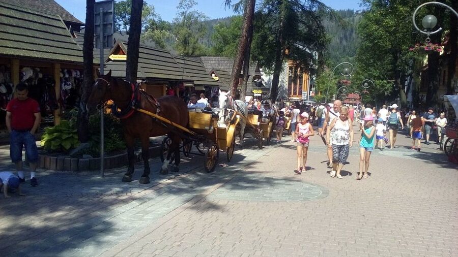 From Krakow: Zakopane & Hot Thermal Springs Private Tour - Who should book this Zakopane experience?