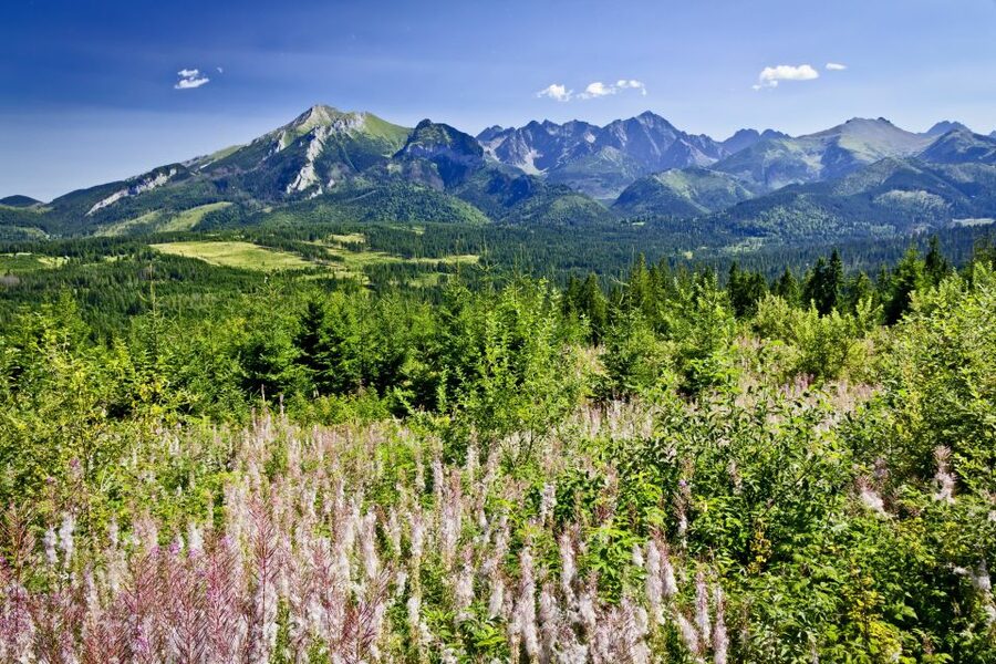From Krakow: Zakopane Tatra Mountains & Hot Springs Tour - Key points to know before booking