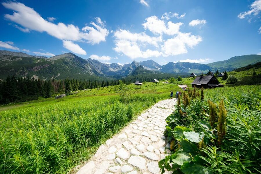 From Krakow: Zakopane Tatra Mountains & Hot Springs Tour - Krupowki Street: useful, lively, and very commercial