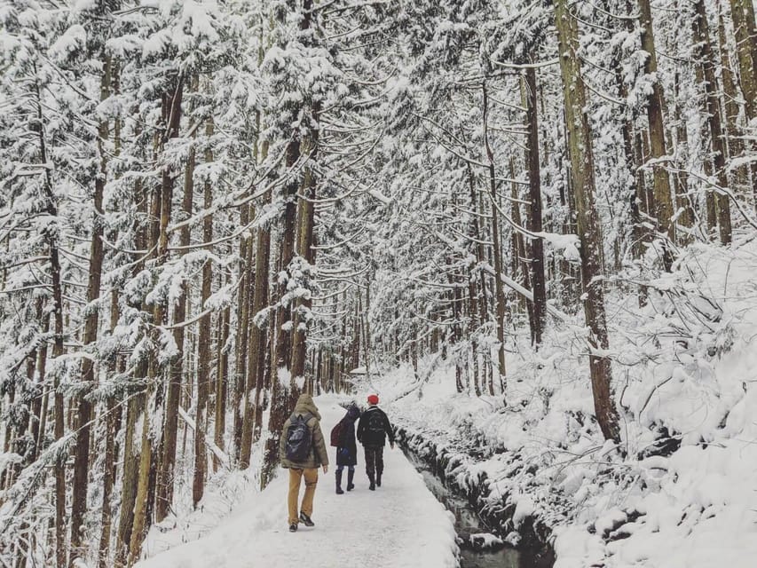 From Nozawa Onsen: Snow Monkeys and Zenko-ji Day Trip & Sake - Walking the snowy trail to the monkey park
