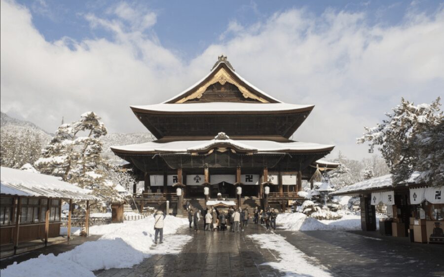 From Nozawa Onsen: Snow Monkeys and Zenko-ji Day Trip & Sake - Meeting the snow monkeys at Jigokudani