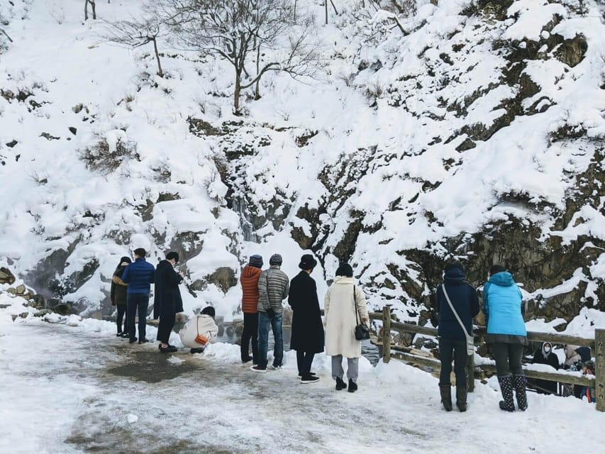 From Nozawa Onsen: Snow Monkeys and Zenko-ji Day Trip & Sake - The people who will enjoy this most