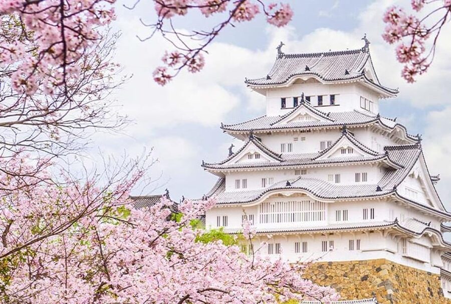 From Osaka: Himeji Castle, Arima Onsen & Mt. Rokko Day Tour - Himeji Castle: two hours with Japan’s White Heron