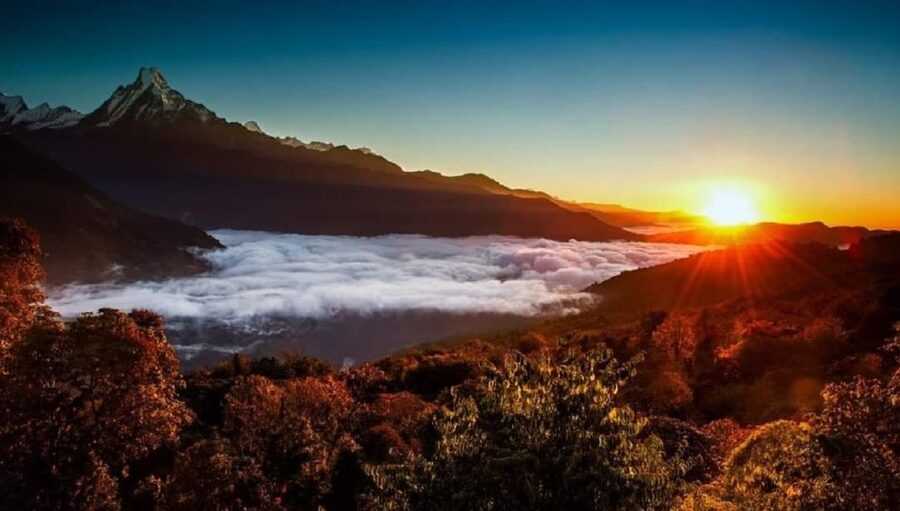 From Pokhara: 5-Day Annapurna Basecamp Trek with Hot Springs - Forest trails from Sinuwa to Deurali
