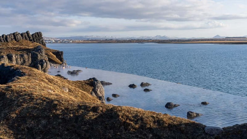 From Reykjavik: South Coast & Sky Lagoon Small-Group Tour - Reynisfjara is beautiful, exposed, and dangerous