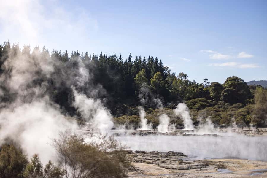 From Rotorua: HELL's GATE Geothermal MUD BATH Half Day Tour - What the $164 price covers