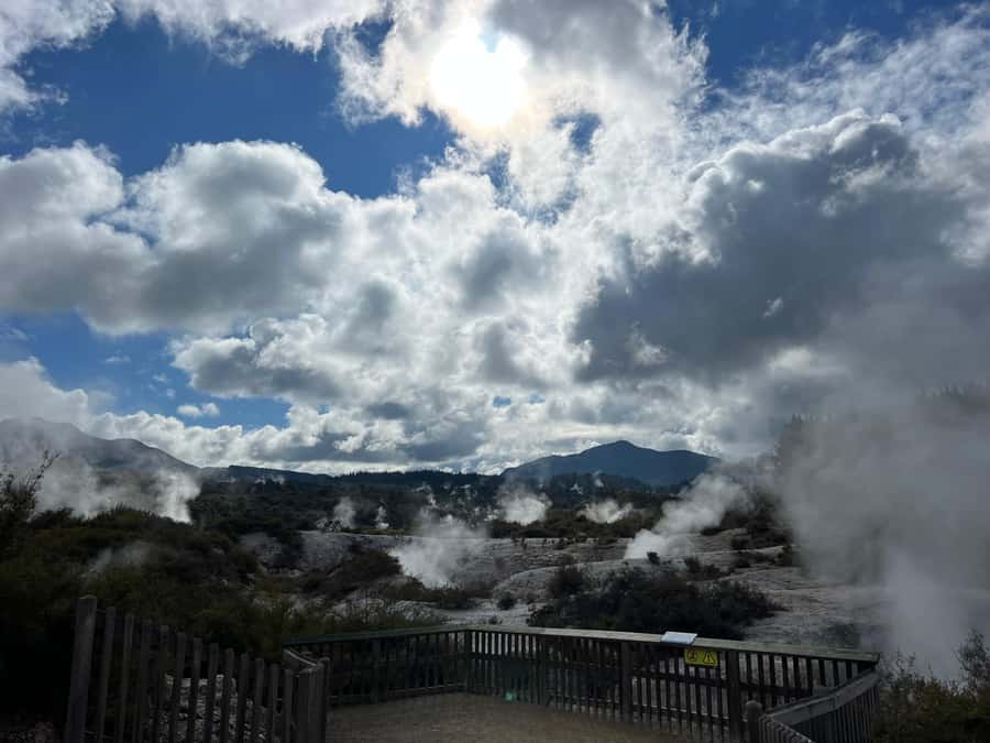 From Rotorua: WAI-O-TAPU Geothermal Wonderland Half-Day Tour - An Early Start from Rotorua iSite