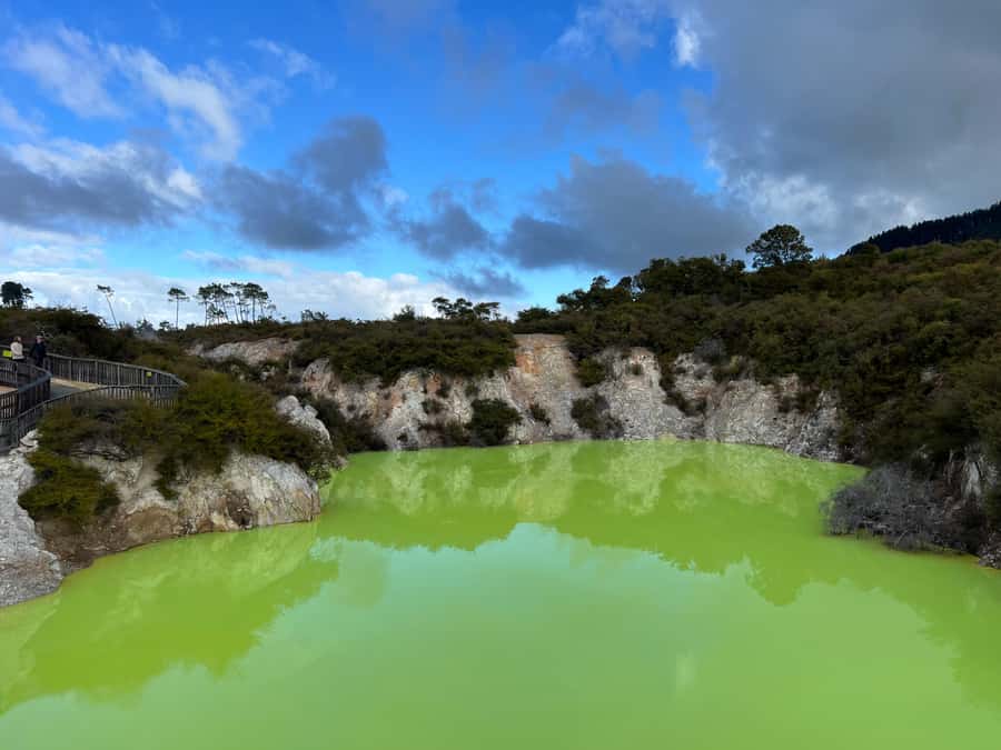 From Rotorua: WAI-O-TAPU Geothermal Wonderland Half-Day Tour - The Countryside Road to Wai-O-Tapu