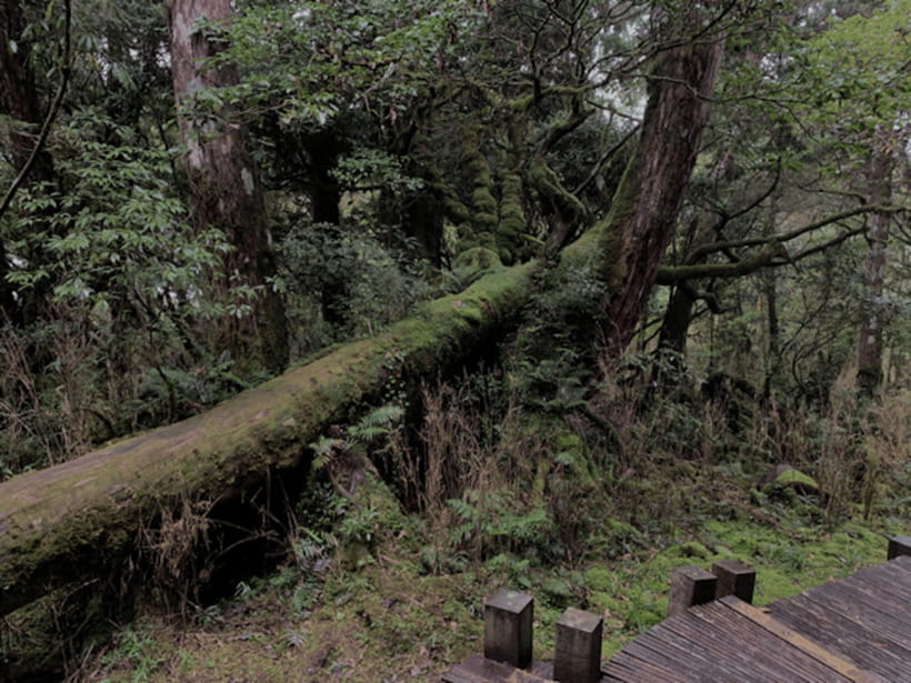 From Taipei: Taipingshan & Jiuzhize Hot Spring Private Tour - Key points before you book