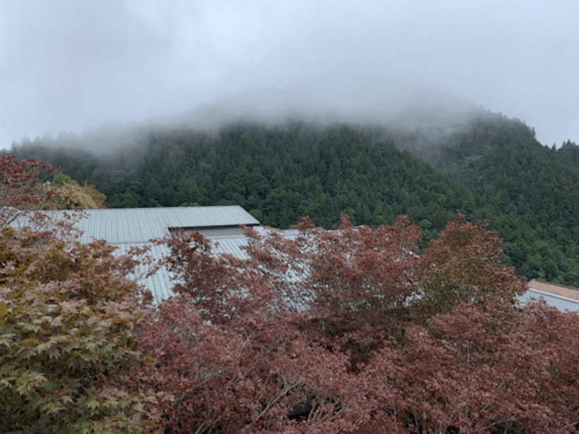 From Taipei: Taipingshan & Jiuzhize Hot Spring Private Tour - Why this private trip works from Taipei