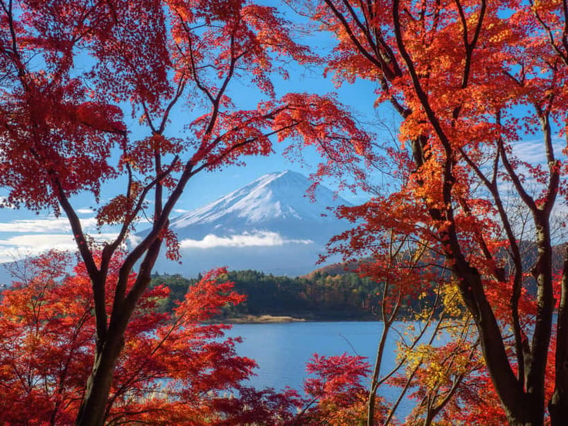 From Tokyo: Private Tour to Fuji/Hakone - Onsen, Art, Nature - Is $322 per person good value?