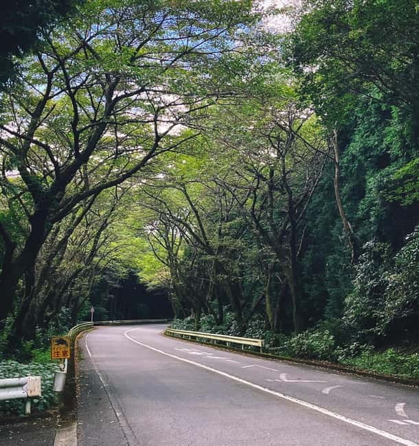From Tokyo: Private Tour to Fuji/Hakone - Onsen, Art, Nature - Leaving Tokyo for Hakone