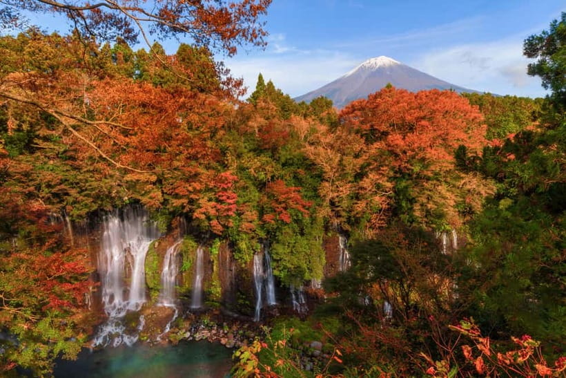 From Tokyo: Private Tour to Fuji/Hakone - Onsen, Art, Nature - Why the ten-hour schedule needs flexibility