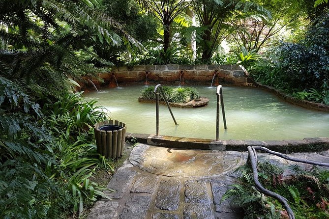 Full-Day Furnas Tour: Hot Springs, Traditional Lunch & Tea - Terra Nostra Garden pairs plants with a warm soak