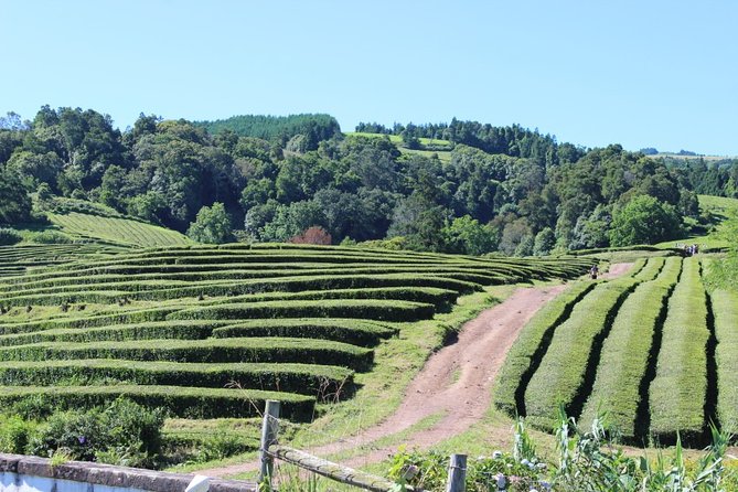 Full Day Furnas, Volcano stew and hot springs - Key points at a glance